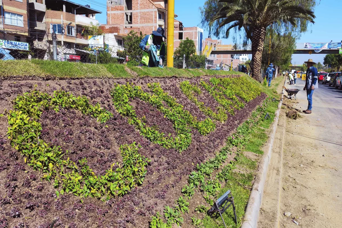 COLCAPIRHUA RENUEVA LA IMAGEN DE SUS JARDINERAS CENTRALES